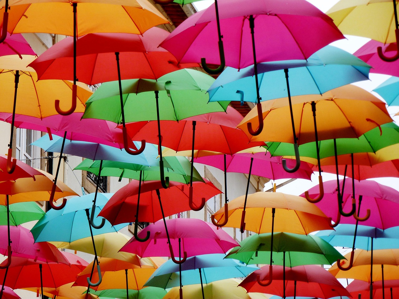 umbrellas, multicoloured, colorful, shade tree, colorful screen, mixed up, nature, ease, rain, rainy weather